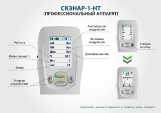 СКЭНАР-1-НТ (исполнение 01)  в Голицыно купить Медицинская техника - denasosteo.ru 