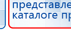 СКЭНАР-1-НТ (исполнение 02.1) Скэнар Про Плюс купить в Голицыно, Аппараты Скэнар купить в Голицыно, Медицинская техника - denasosteo.ru